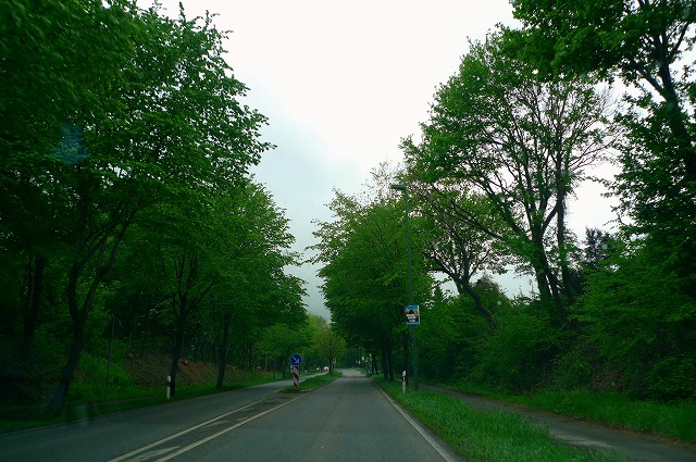 c0153740_9225890.jpg