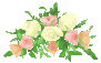 e0181047_23363457.gif