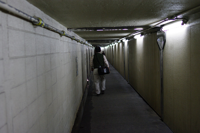 f0152550_1244368.jpg