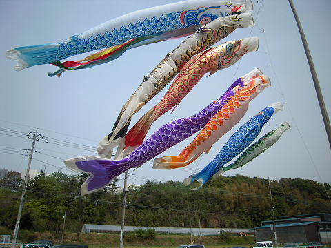筍（タケノコ）_b0050651_10445978.jpg