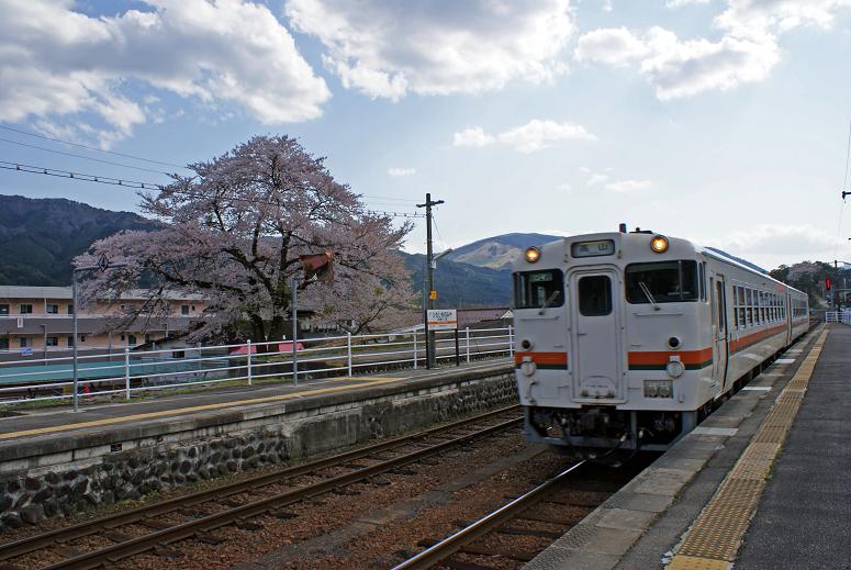 昔、昔、その昔、竹取物語が誕生したころ この桜が芽を吹いたそうな ~臥龍桜~_b0063958_6314860.jpg