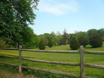 c0089360_12554966.jpg
