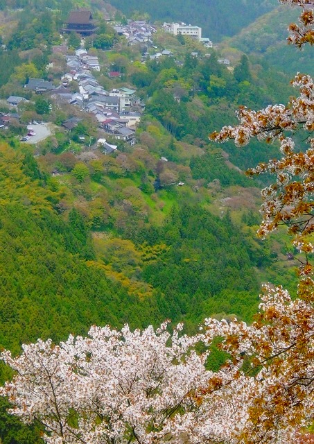 <2010年5月>大和路・旅の思い出レビュー(その3):金剛・吉野・熊野・大峰奥駆道編_c0119160_10585780.jpg