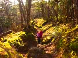 <2010年５月>大和路･旅の思い出ﾚﾋﾞｭｰ(その３）：金剛･吉野･熊野･大峰奥駆道編_c0119160_120683.jpg