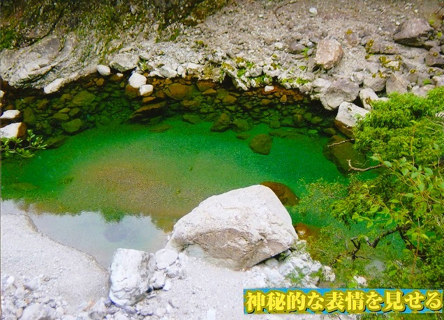 <2010年5月>大和路・旅の思い出レビュー(その3):金剛・吉野・熊野・大峰奥駆道編_c0119160_13252414.jpg