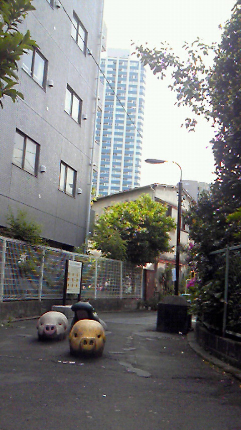 d0154360_12445121.jpg
