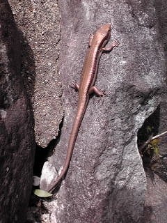 d0052263_044317.jpg