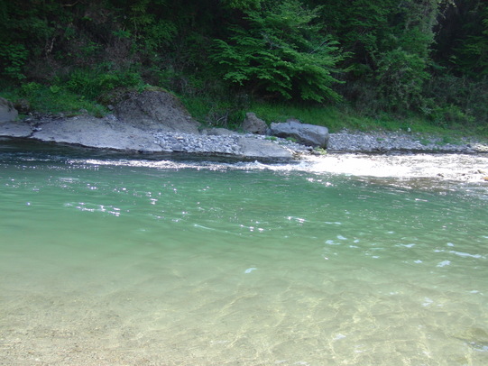 c0199365_22644.jpg