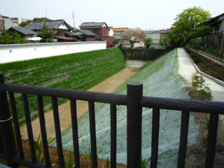 川越城・中ノ門堀跡_a0105566_1413881.jpg