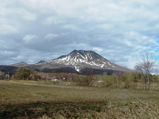 岩木の桜_d0131668_17452770.jpg