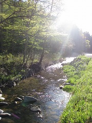 e0160568_19523060.jpg