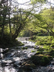 e0160568_19535692.jpg