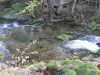 e0160568_19571744.jpg
