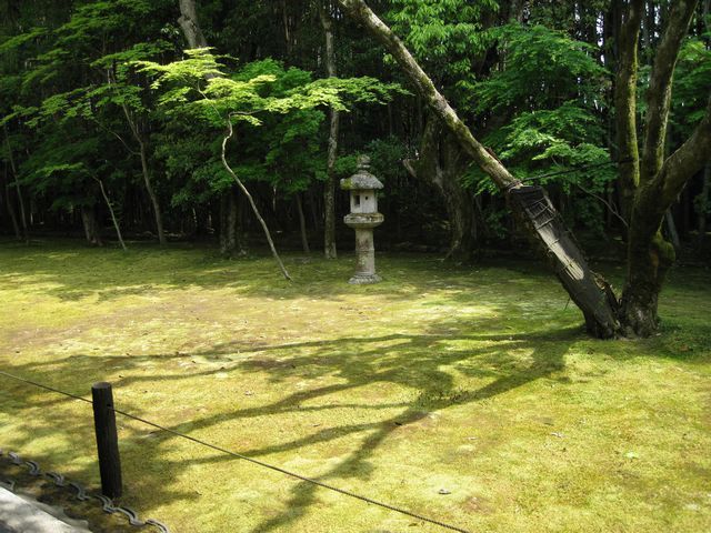 大徳寺～高桐院_d0037669_11494238.jpg