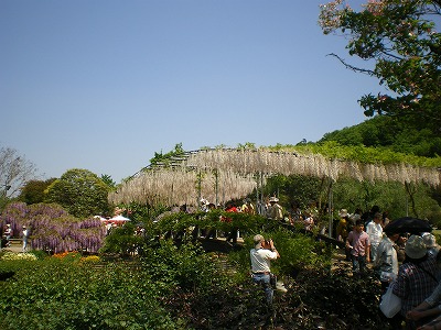 b0056570_0255166.jpg