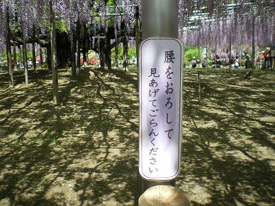 b0056570_0323269.jpg