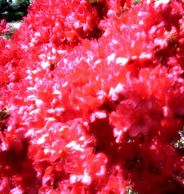b0056570_046616.jpg