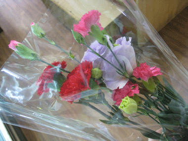 d0050871_11123747.gif
