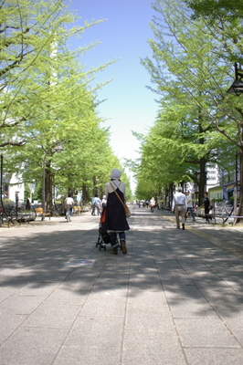 c0070372_22552679.jpg