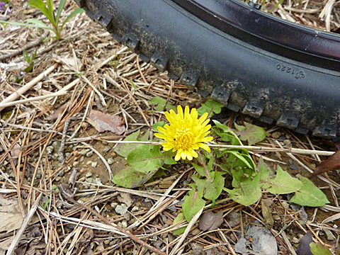 c0107075_22311730.jpg
