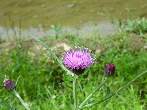 c0107075_2247151.jpg
