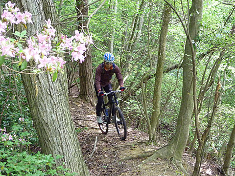 c0107075_2252565.jpg