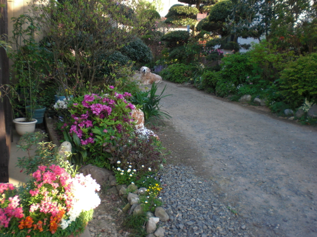 b0157276_21453273.jpg