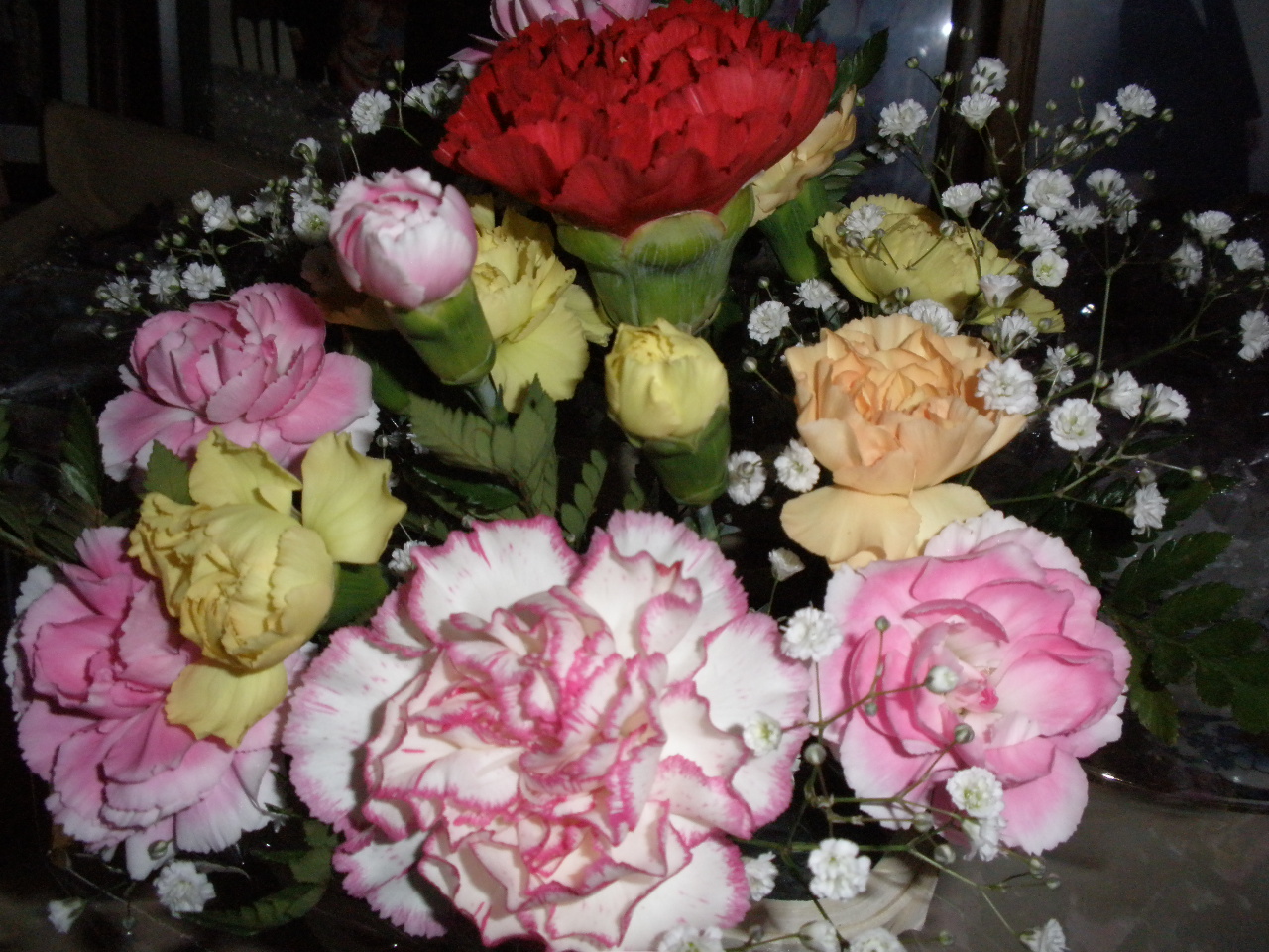 b0157276_2214869.jpg