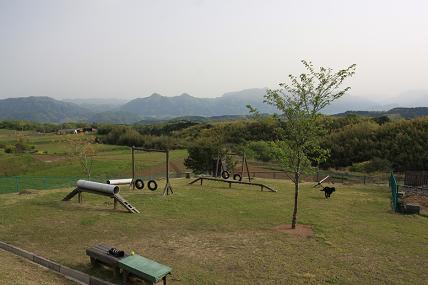 f0037378_21345962.jpg