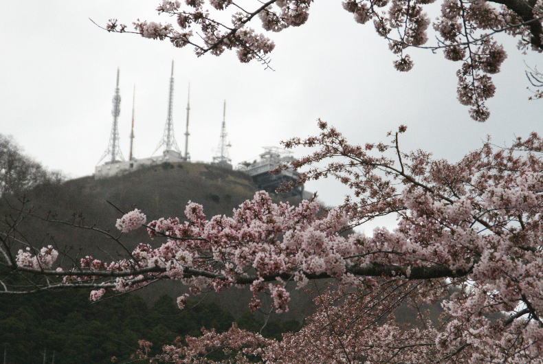 c0112479_6541483.jpg