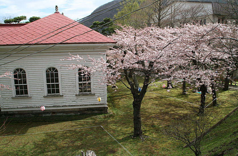 c0112479_6564951.jpg