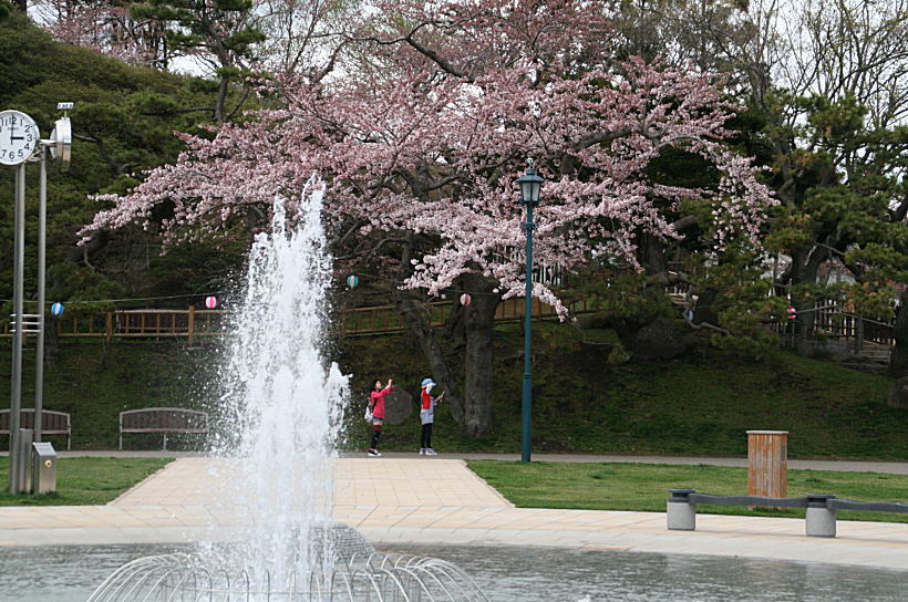 c0112479_6573098.jpg