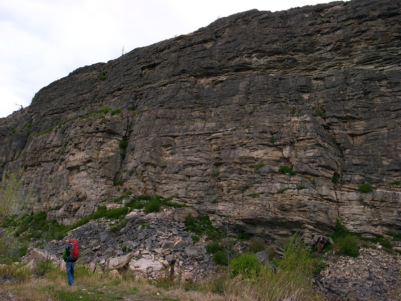 b0110880_1438381.jpg