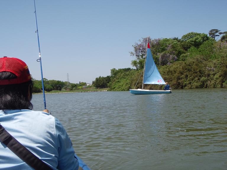 b0139489_2015515.jpg