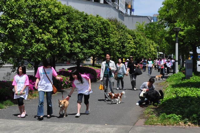 お台場でチャリティーウォーク_a0126590_1942248.jpg