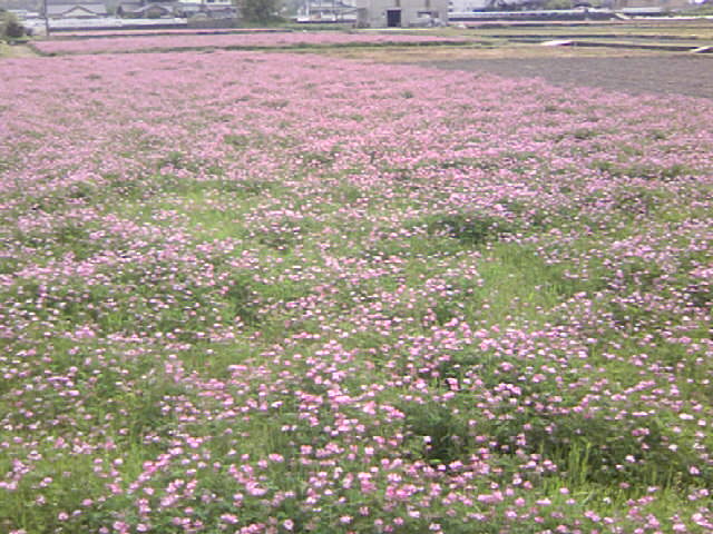 b0135992_8402657.jpg