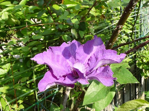 c0108693_21584288.jpg