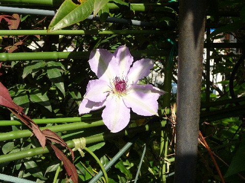 c0108693_21585580.jpg