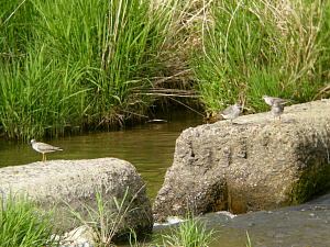 f0108795_12205854.jpg