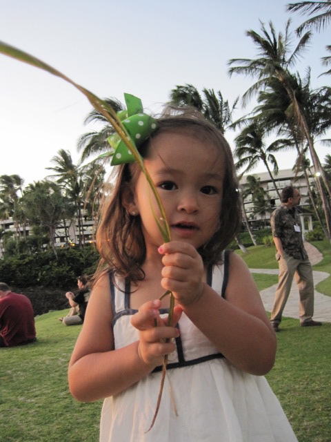 f0209395_17255724.jpg