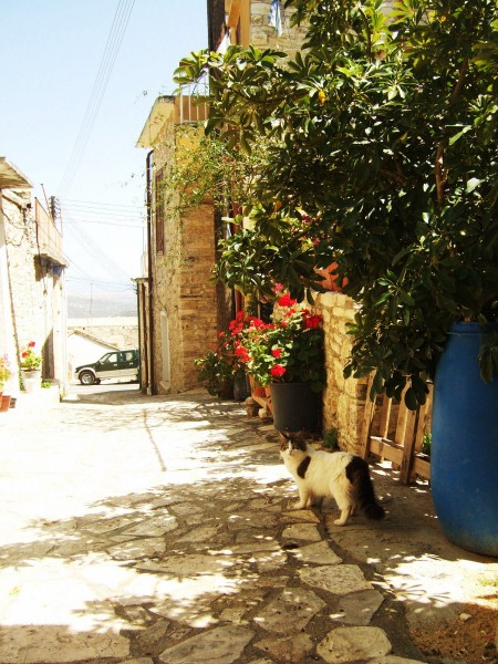 レフカラ村_c0115596_12112251.jpg