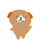 c0077697_1637412.gif