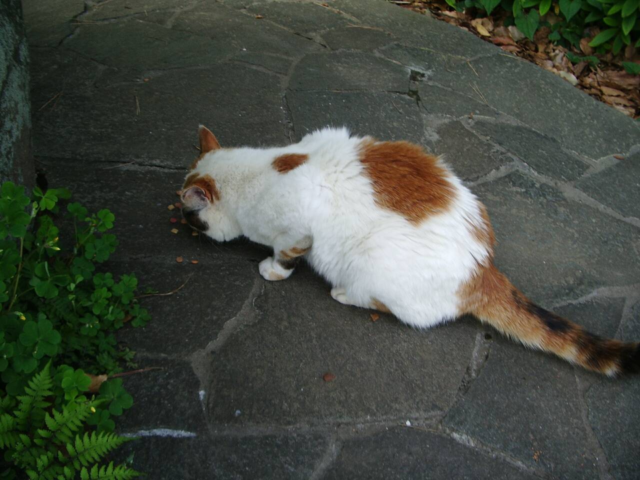 d0046502_23181996.jpg