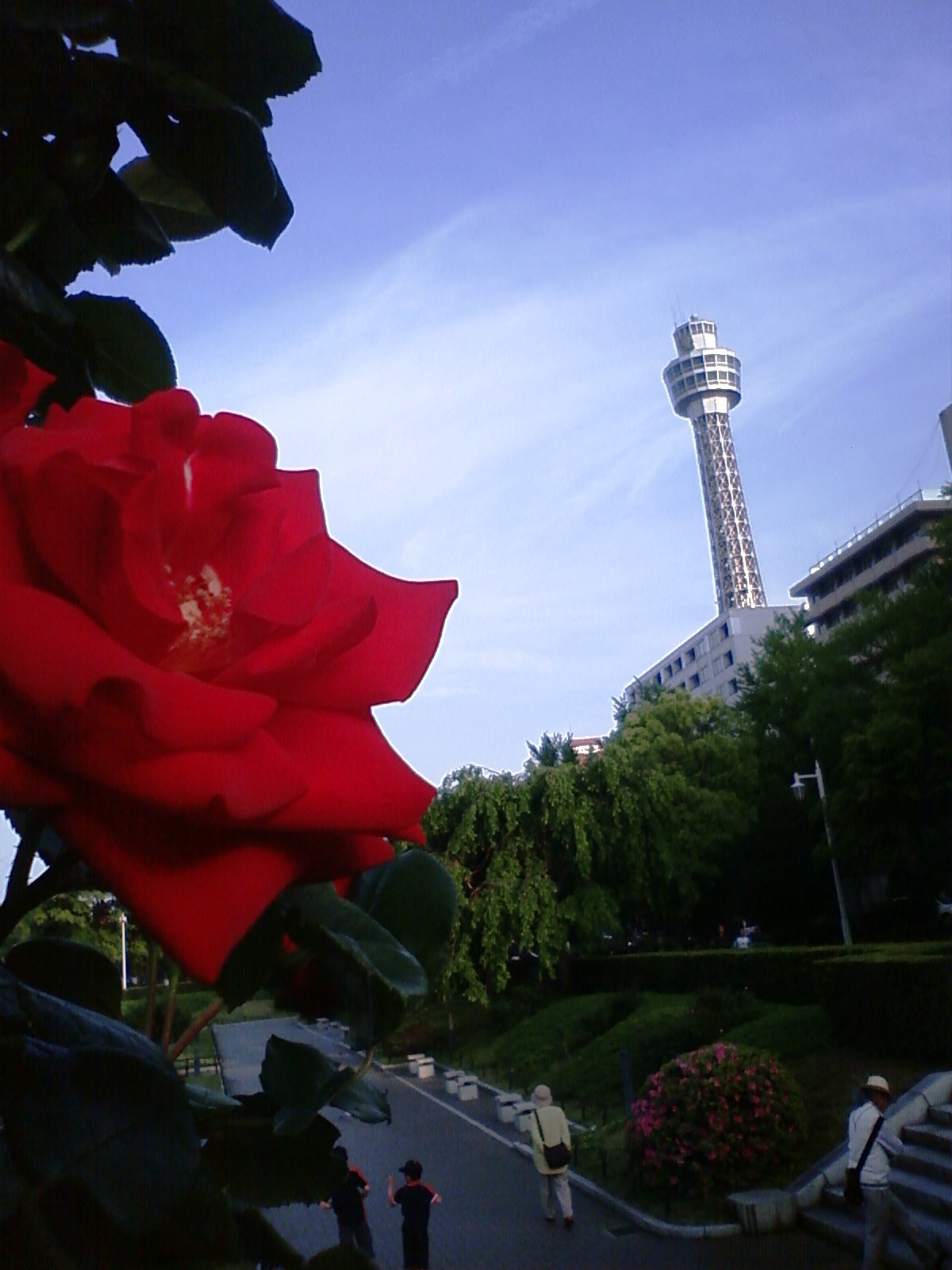 Mother\'s Day ～山下公園編～_f0218002_1747218.jpg