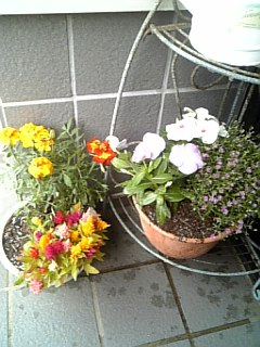 c0092803_12325238.jpg