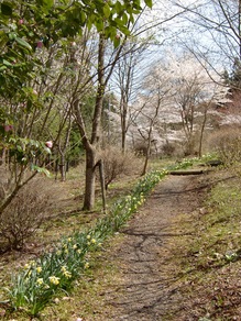 a0134004_13563214.jpg