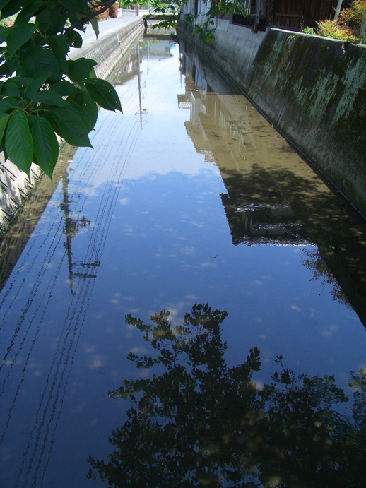 水に映ると、何故こんなに美しく・・・_c0197004_2305513.jpg