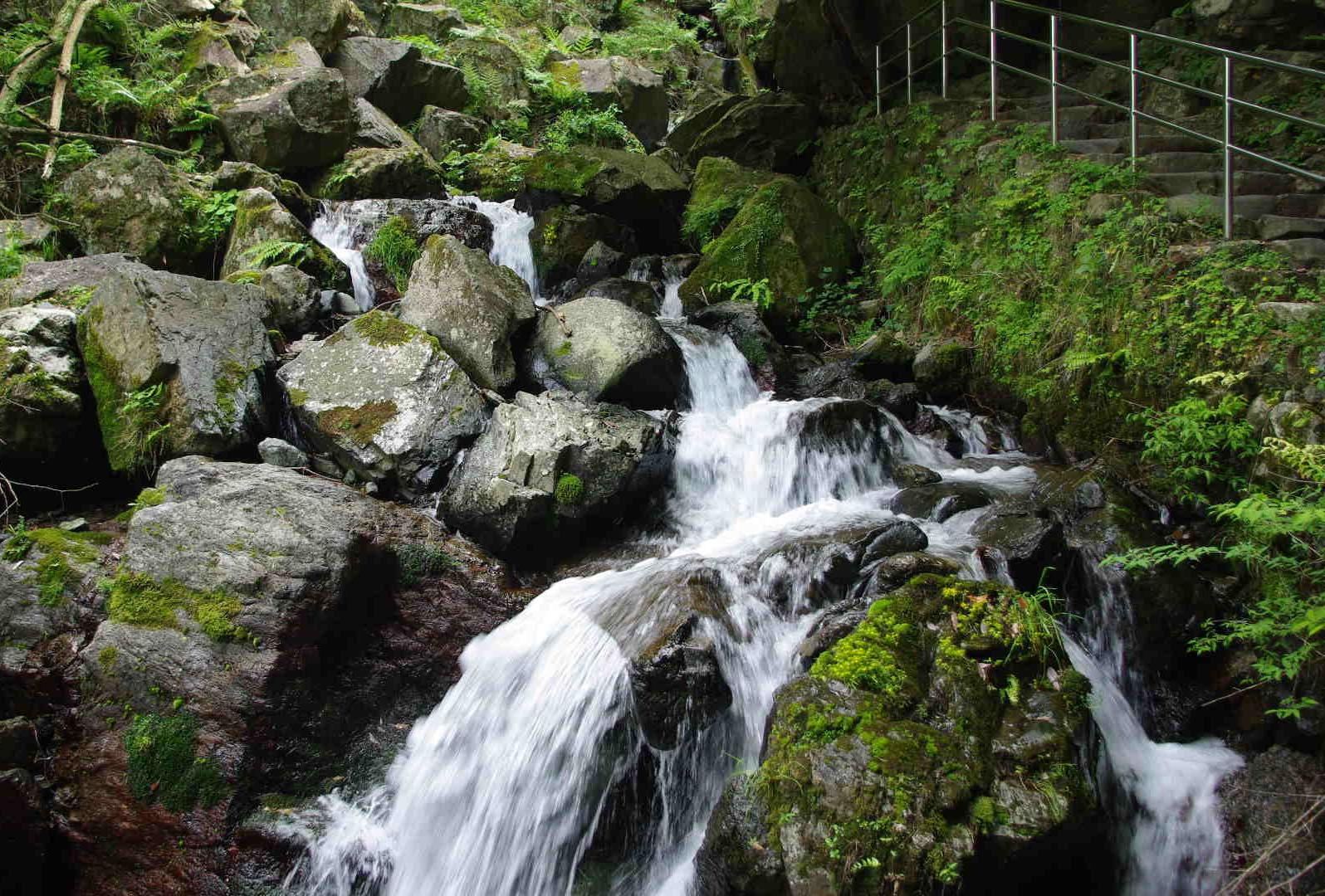 d0070007_2026654.jpg