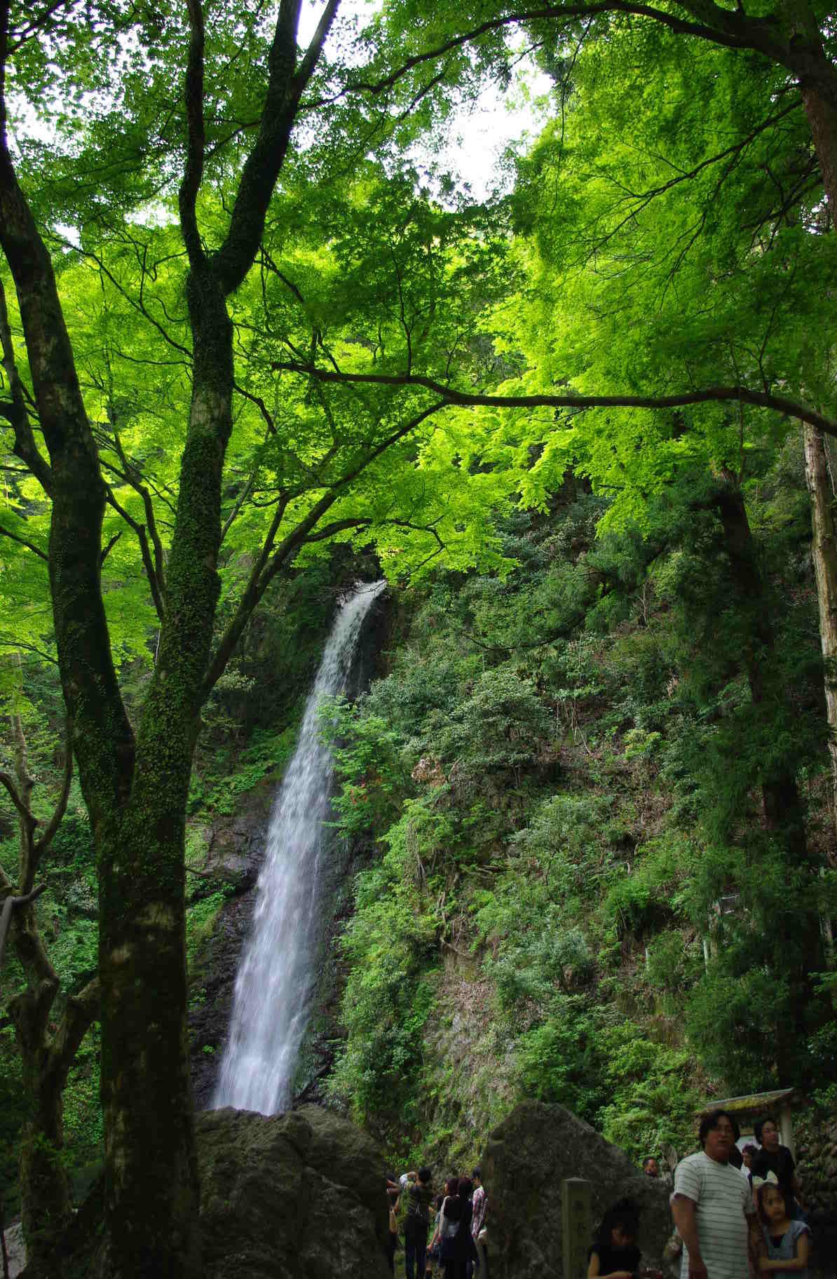 d0070007_20303454.jpg