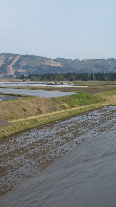 f0121909_8435340.jpg
